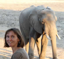 Creature Comforts at Kanga Camp in Mana Pools