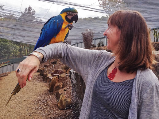 Marvelous Maleny Botanic Gardens for Bird Fanciers and Nature Lovers