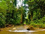 Tenaru Falls, Near Honiara In The Solomon Islands